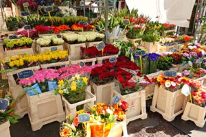 flowers shop